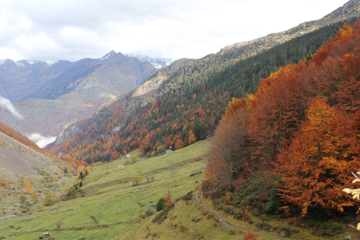Promenade en automne à Bué au dessus du gîte