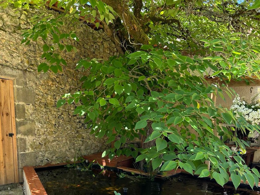 Gite de groupe 12 personnes avec pisicne - Lot-et-Garonne