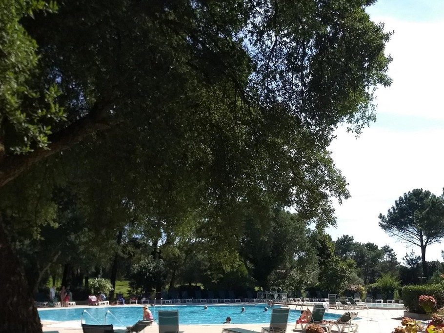 Vue sur la piscine de la résidence