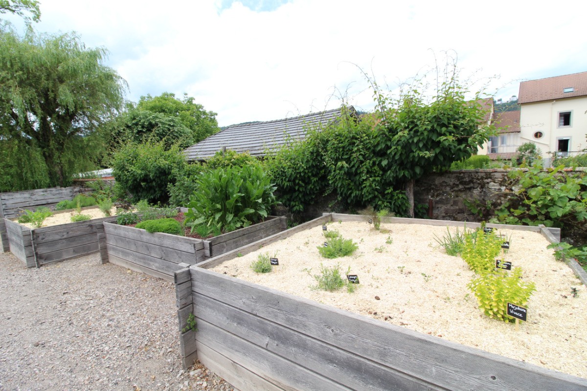 Jardinet de plantes aromatiques