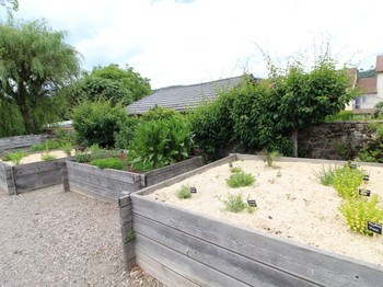 Jardinet de plantes aromatiques