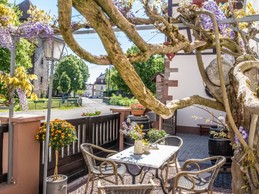 La terrasse sous la glycine