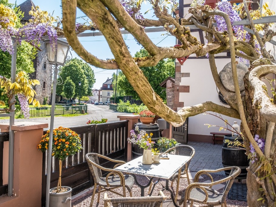 La terrasse sous la glycine