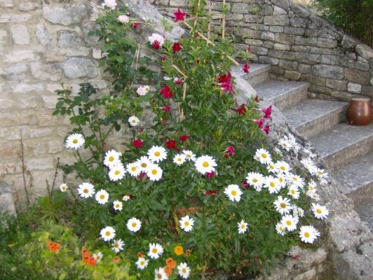 flowers