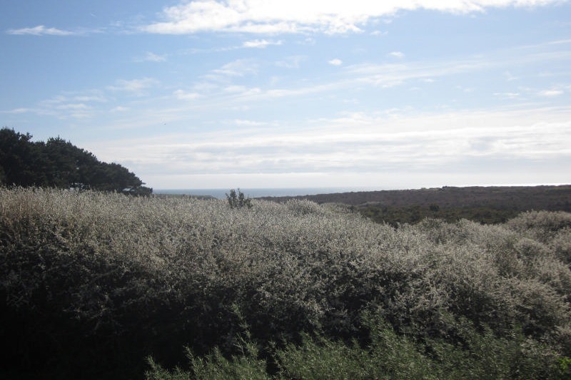 vue depuis la chambre enfants ou parents