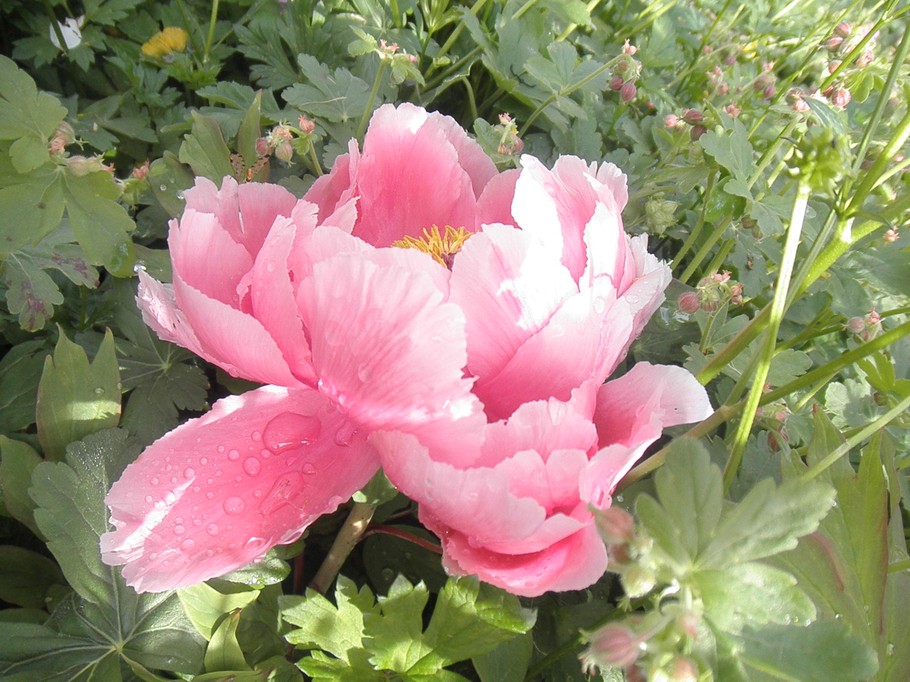 Photo n° 10 of the location