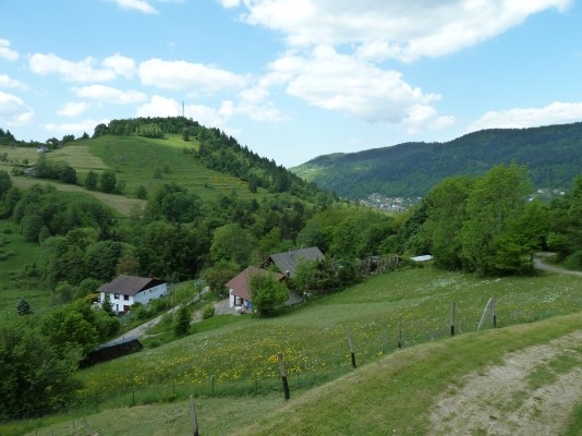 Vue Massif - Chez Nico - Le Ménil