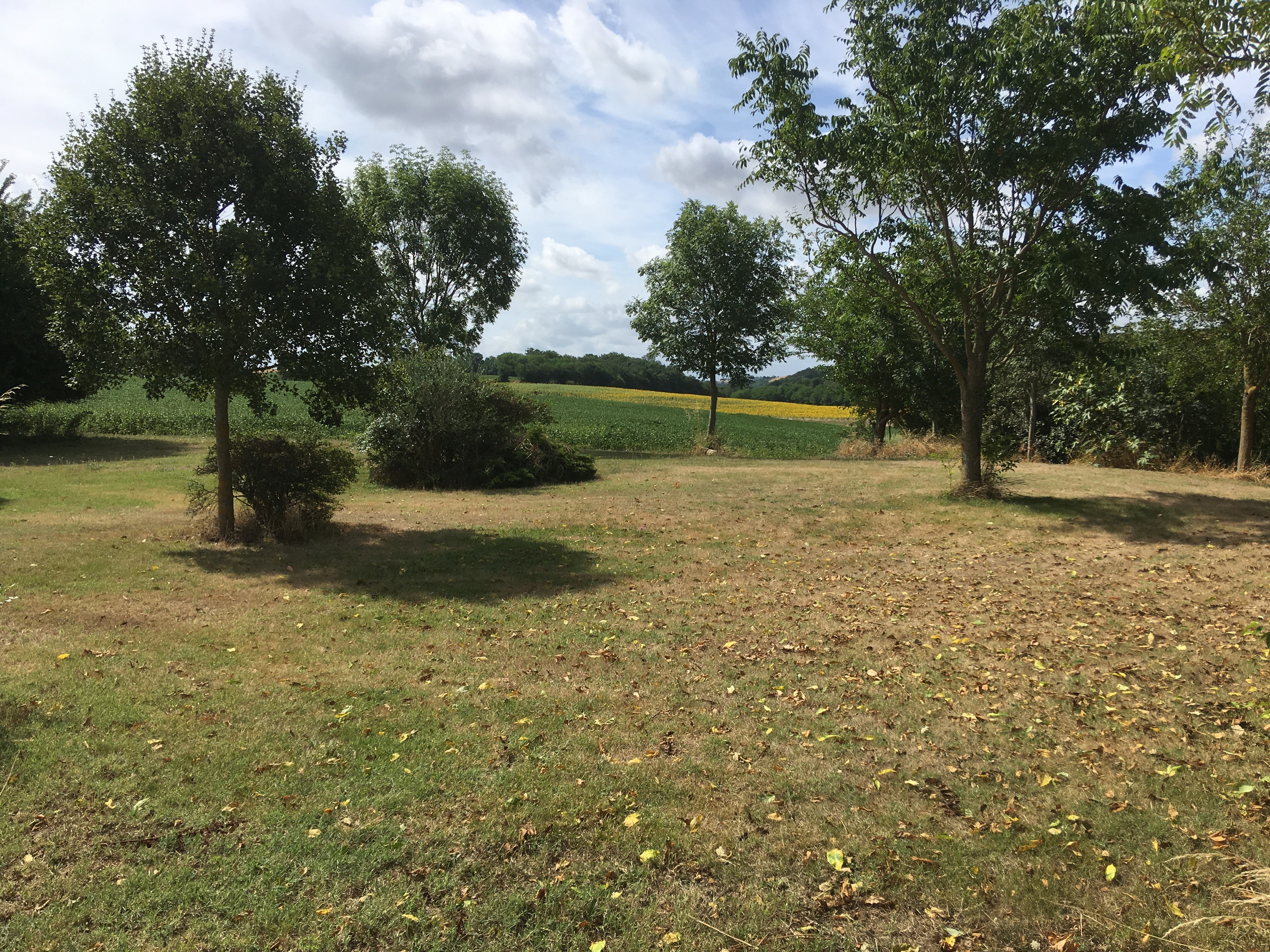 Photo n° 7 of the location