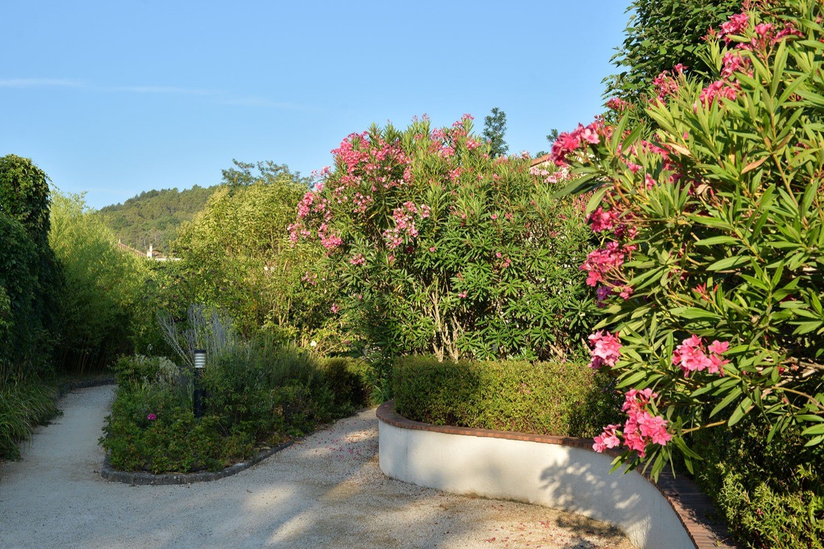 Photo n° 12 de la location