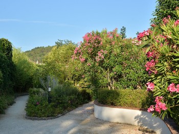 Photo n° 12 de la location