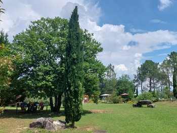 Photo n° 18 de la location