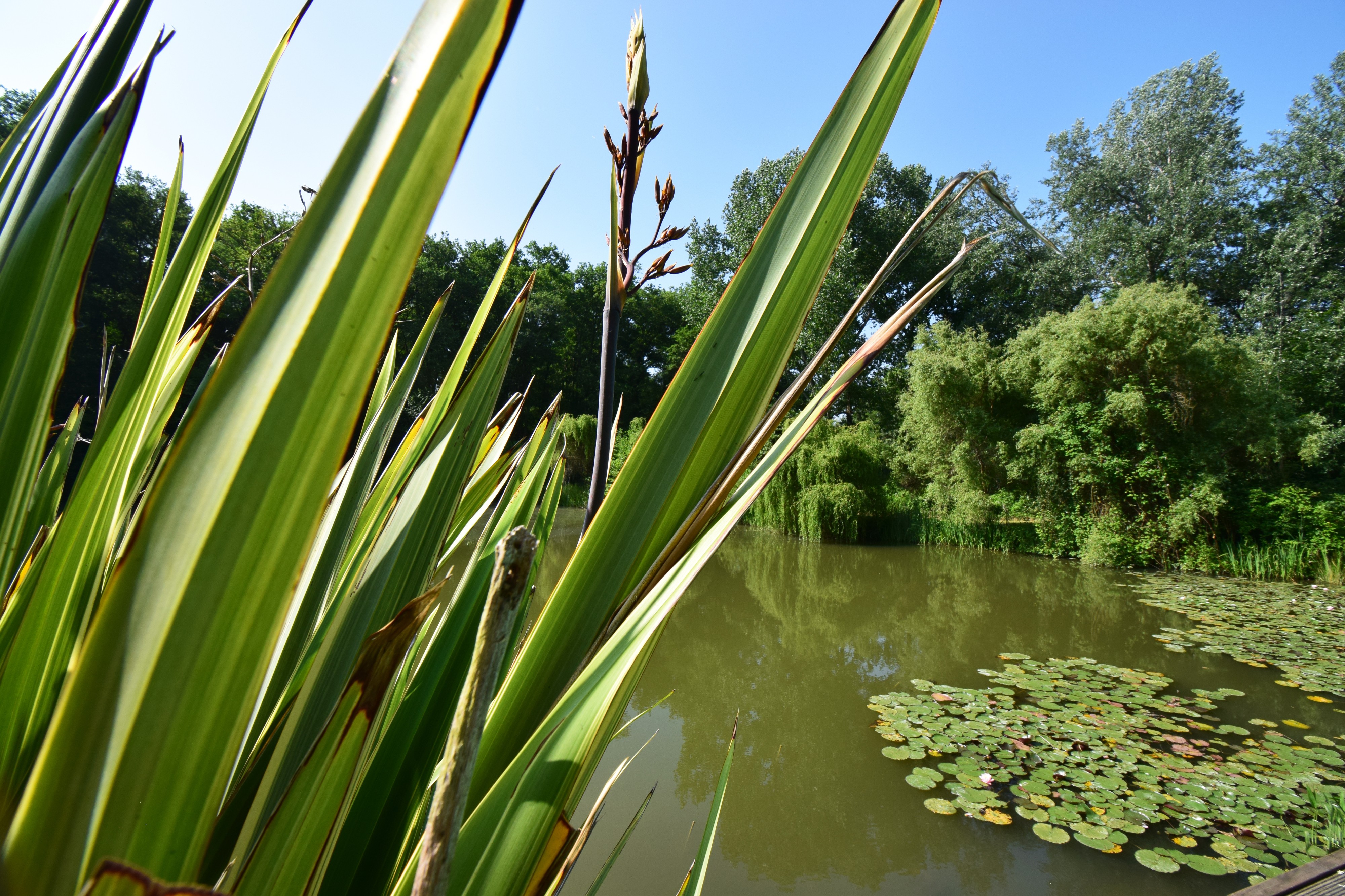 Lac privé
