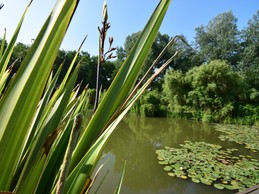Lac privé