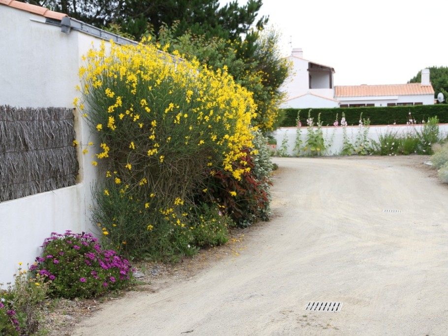 access road to the location