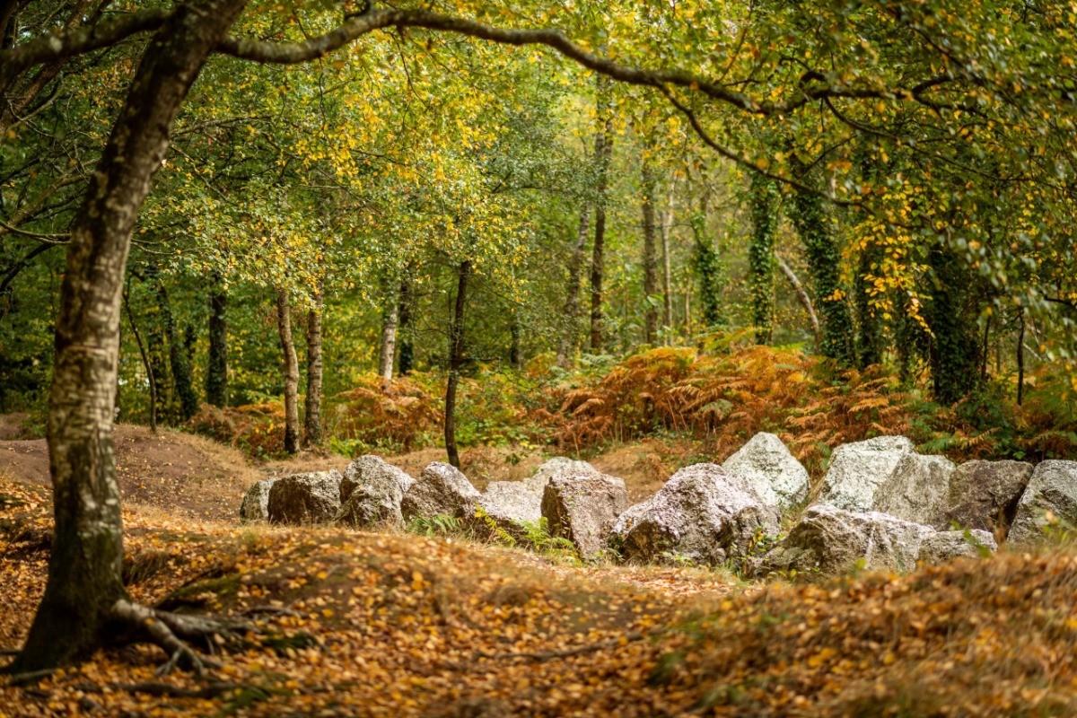 Brocéliande