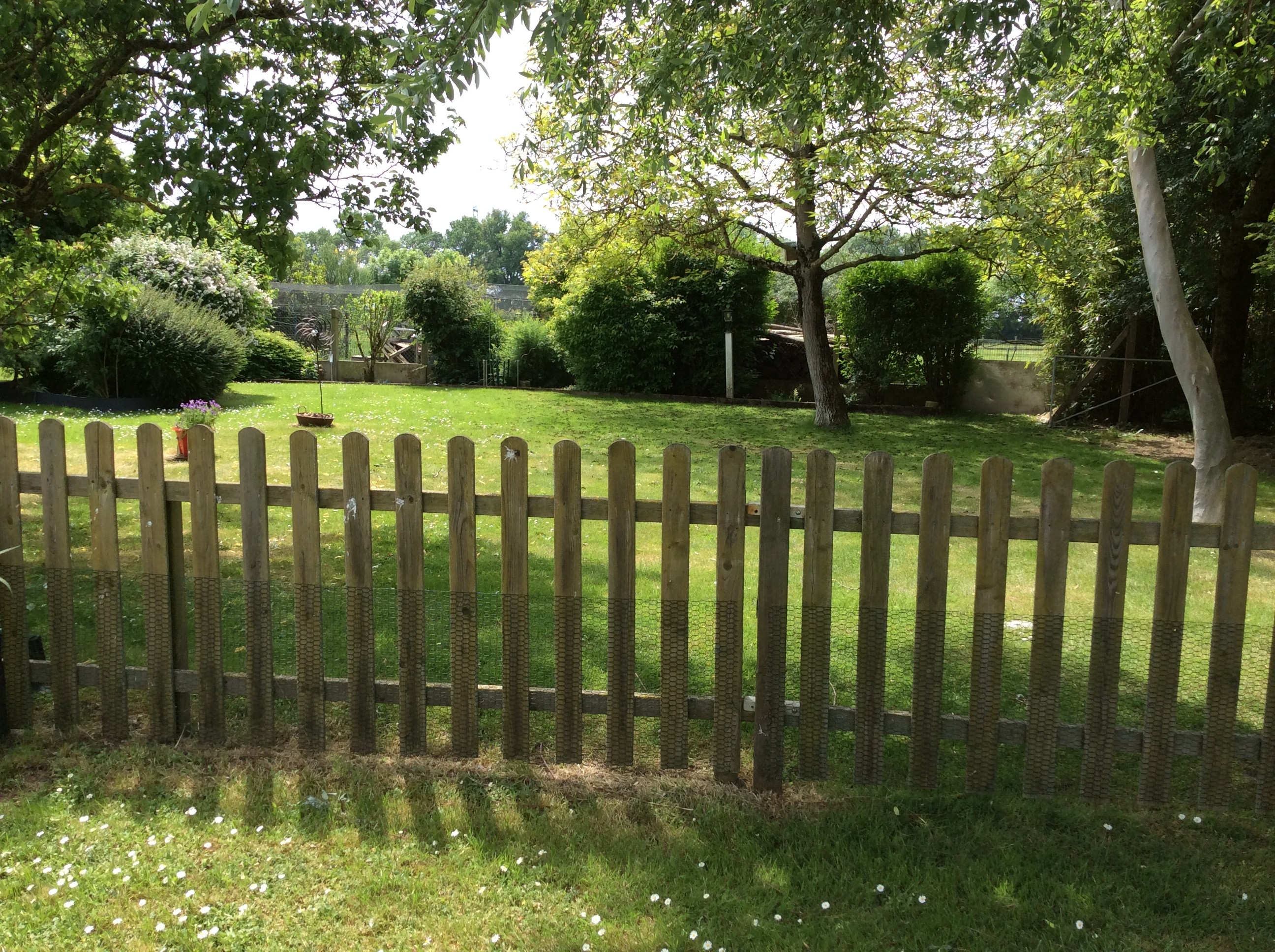 Photo n° 8 de la location