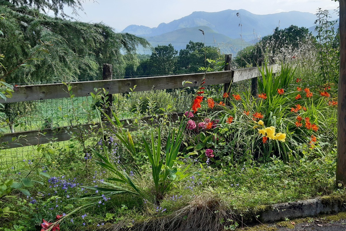 Vue sur le jardin