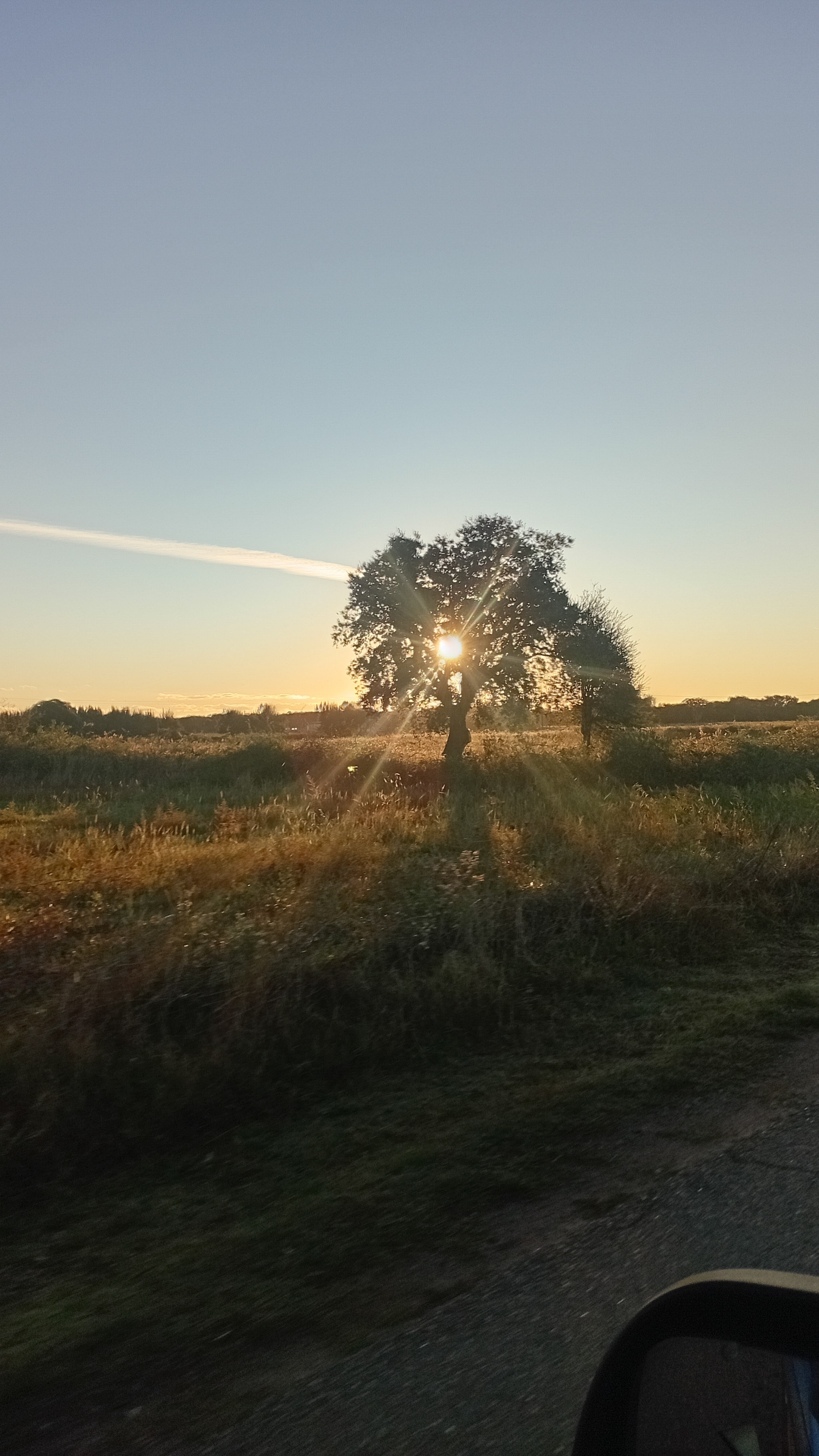 Sentier a proximité