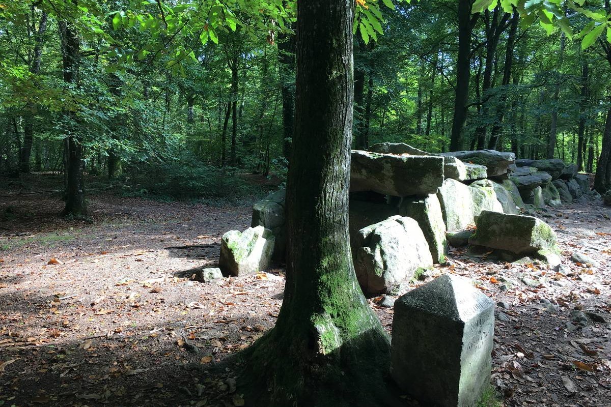 Forêt domaniale du Mesnil, Le Tronchet : Saint-Malo Tourisme