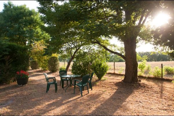 Jardin du gîte