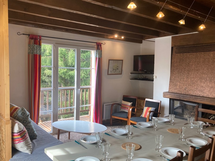 SÉJOUR - SALON - table pour 10 convives, cheminée, TV