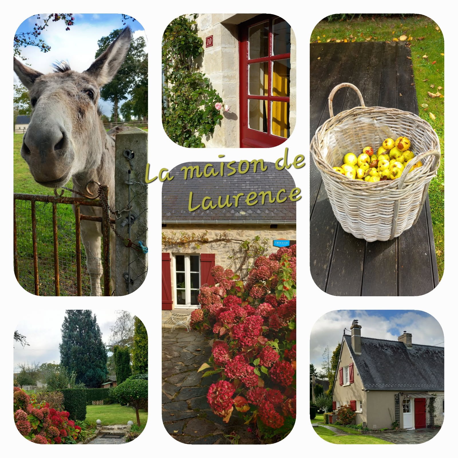 Photo d’automne