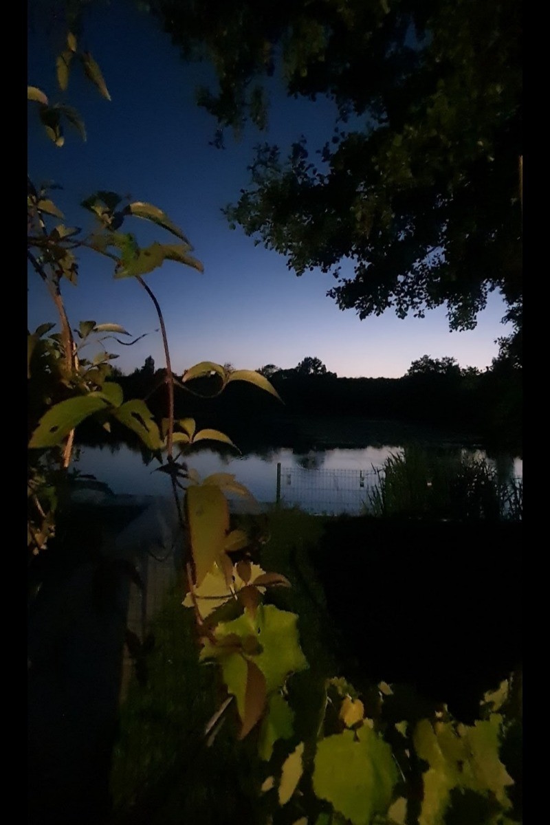 Photo n° 19 de la location