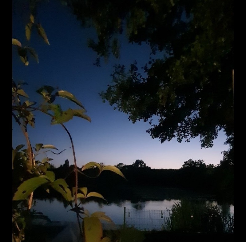 Photo n° 19 de la location