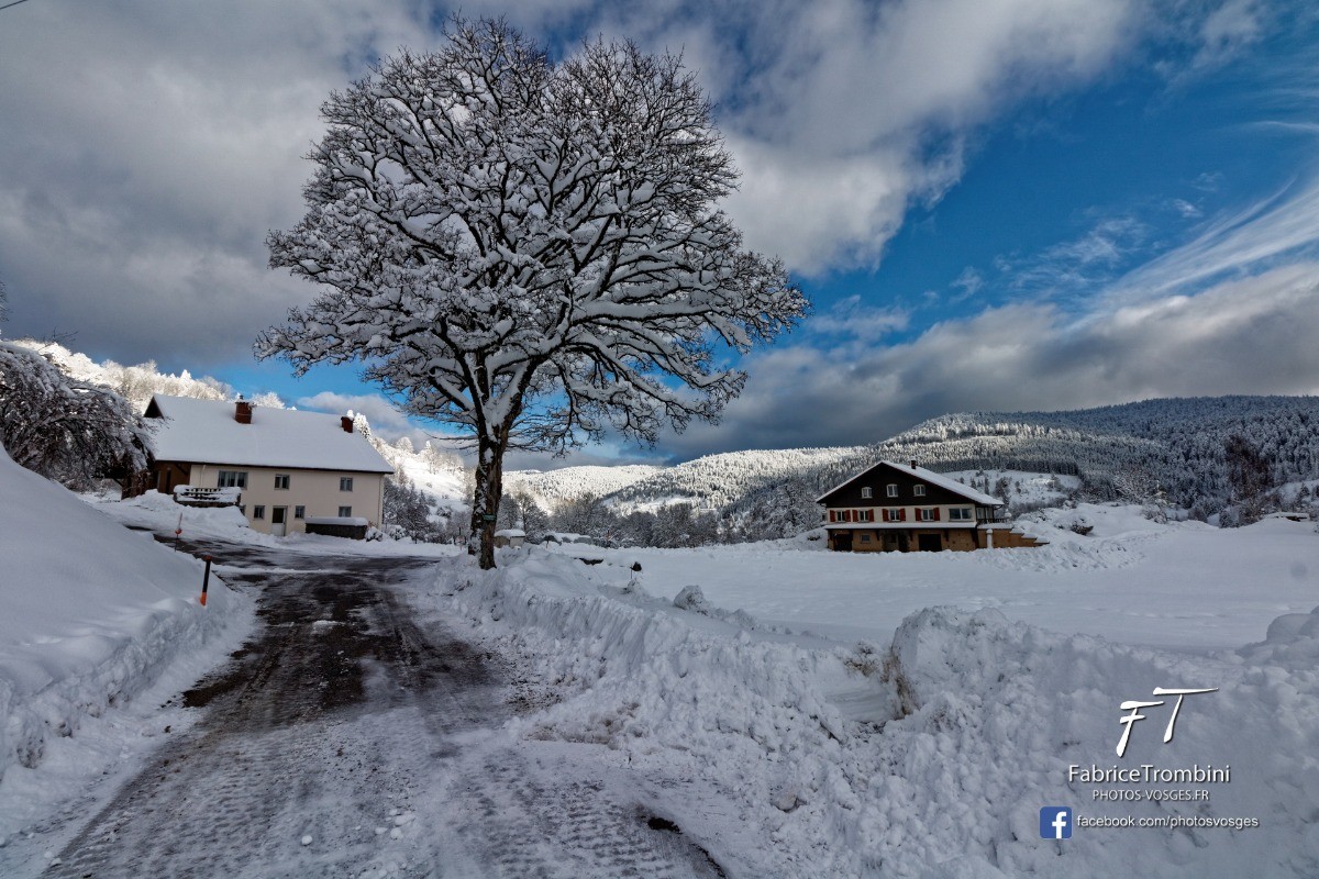 Photo n° 14 de la location