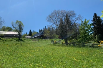Vue maison de la prairie du Parador Vert