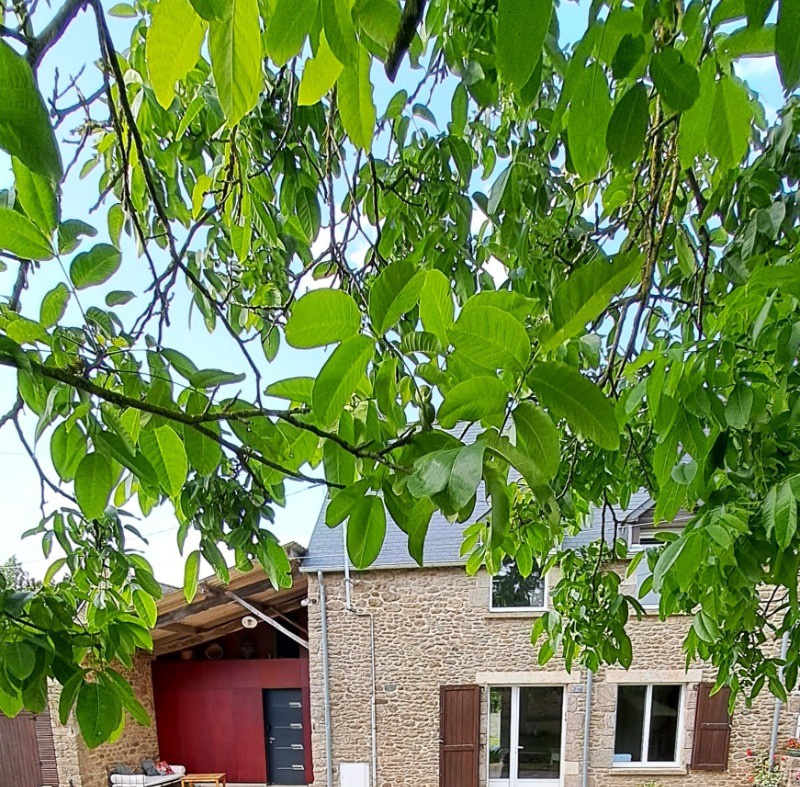 Façade la maison avec à sa gauche une agréable seconde terrasse couverte.
Petit jardin ombragé au premier plan.