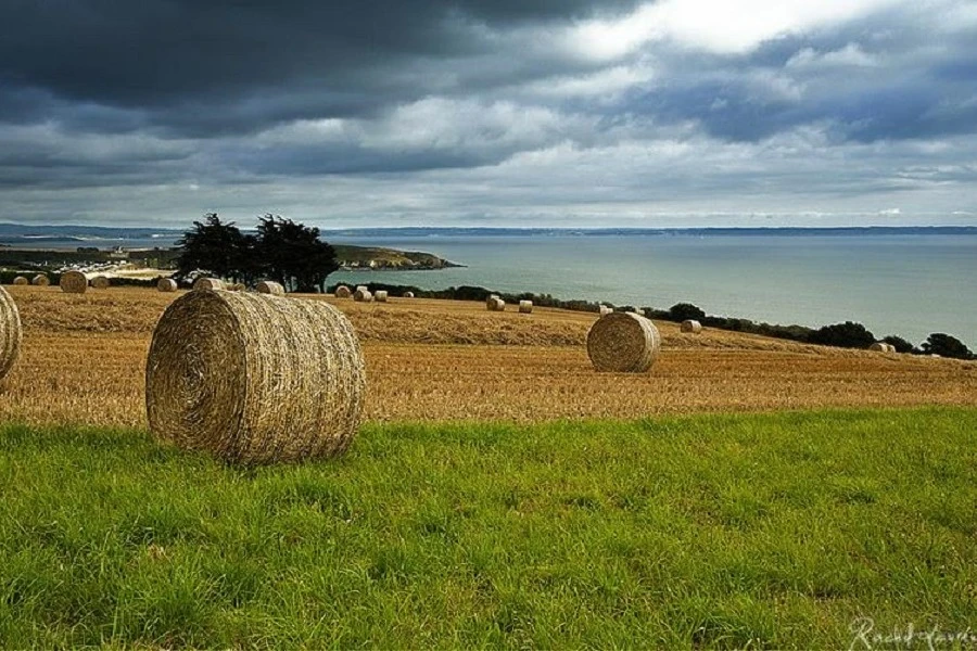 Photo n° 17 of the location