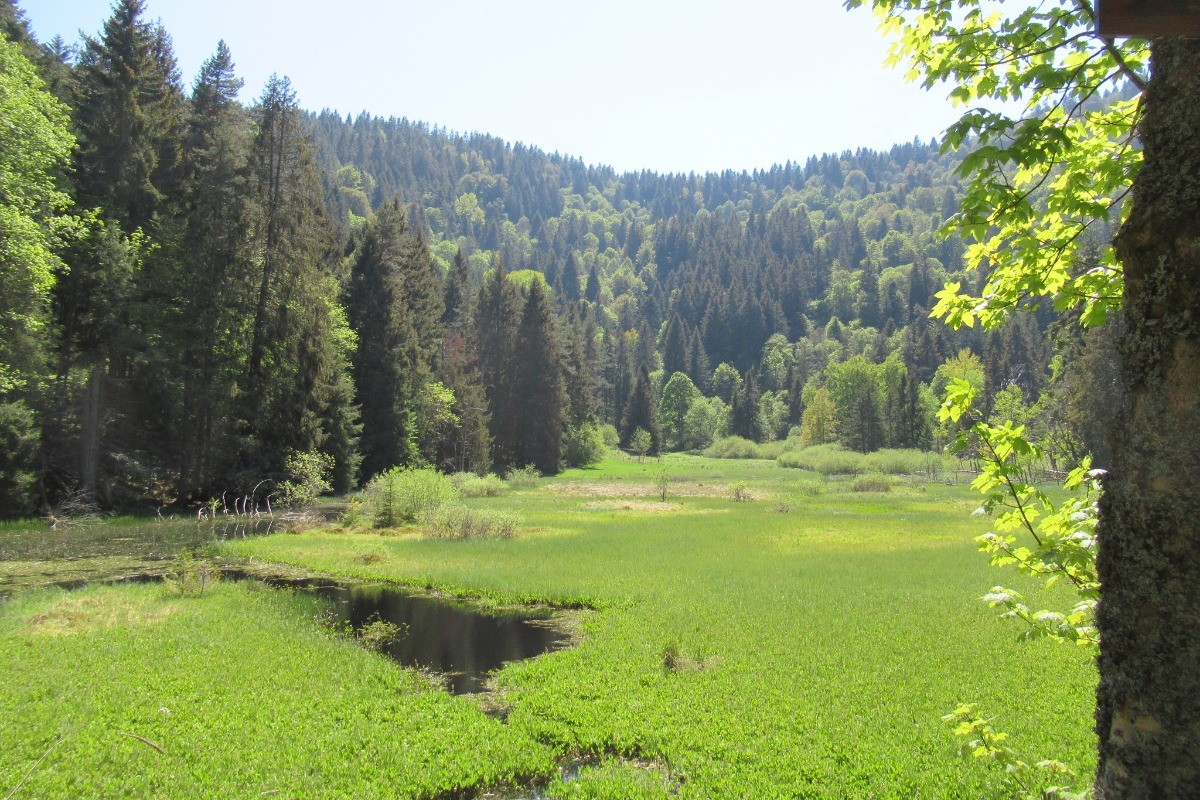 Etang du devin
