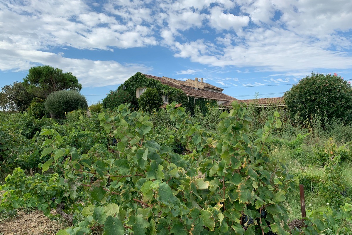 Gîte Le Couchant
