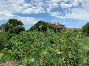 Gîte Le Couchant - Le Mas Mellou