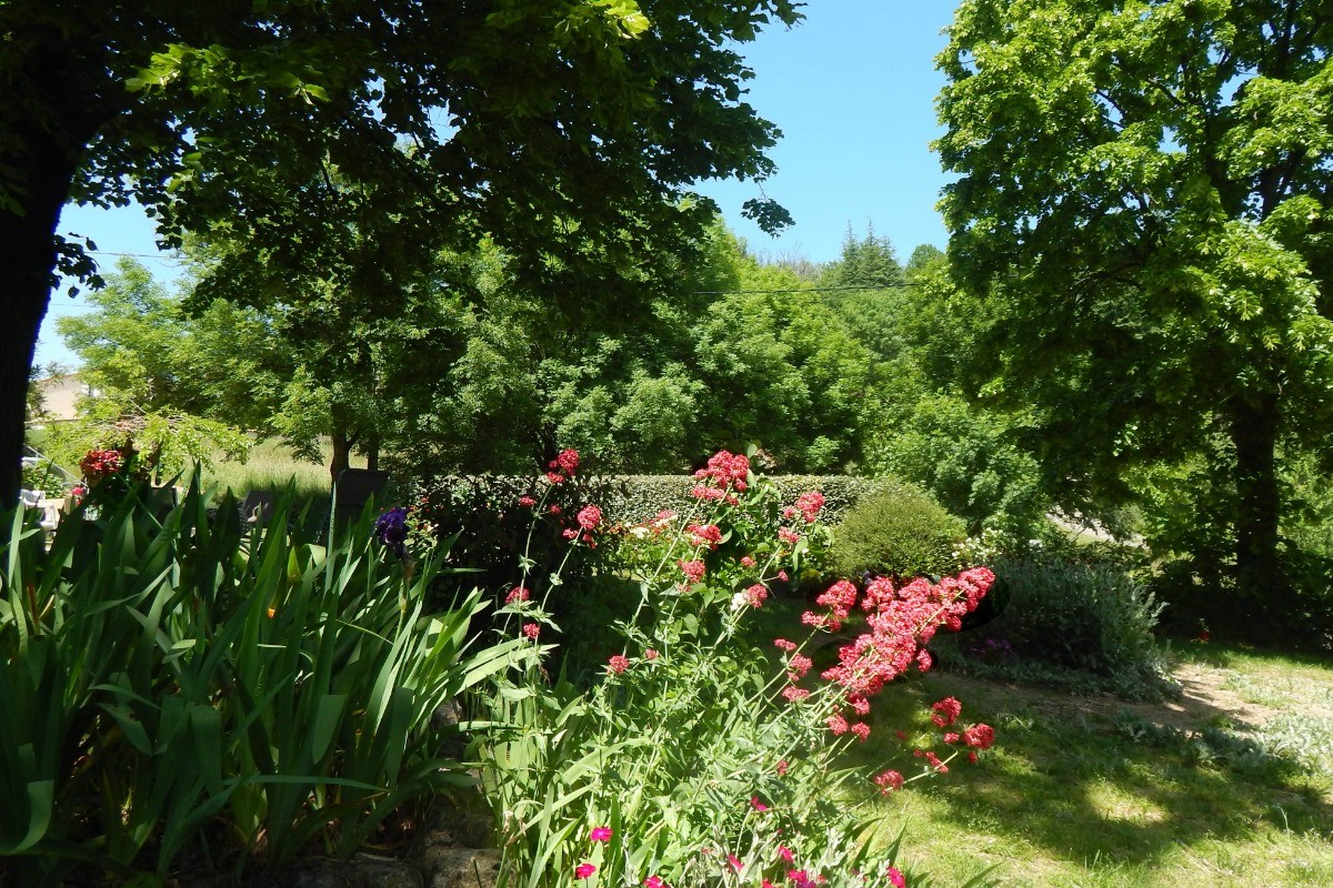 Les ombrages du jardin