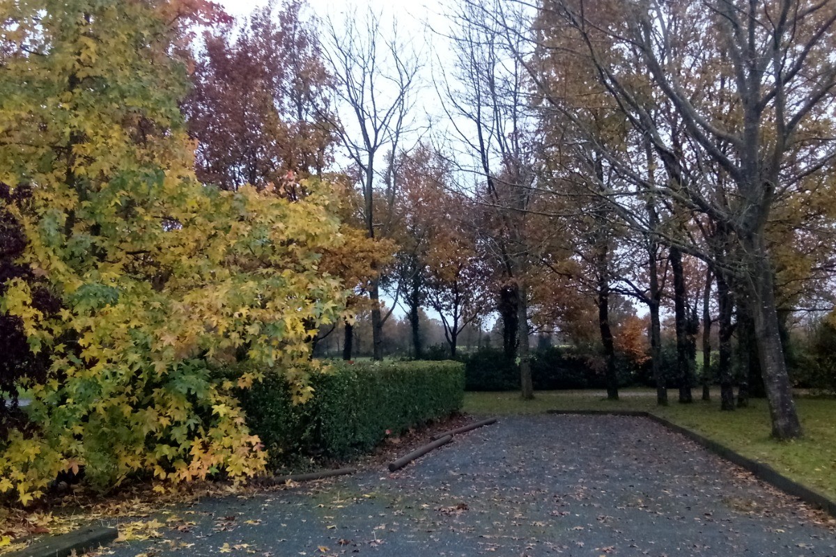 Photo n° 6 de la location