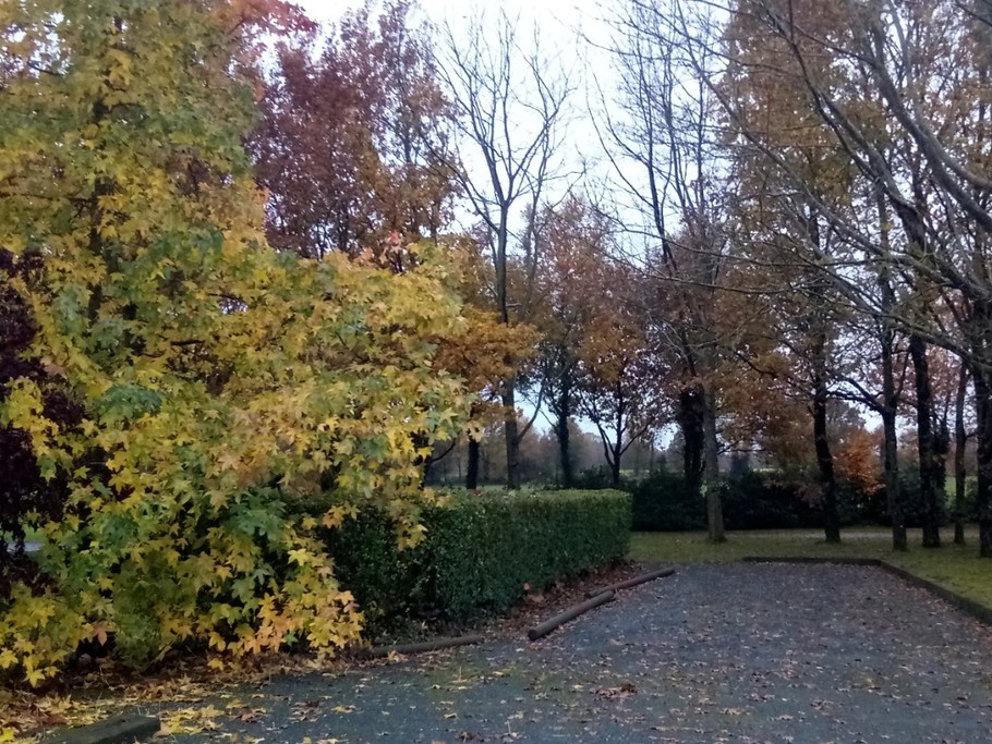 Photo n° 6 of the location