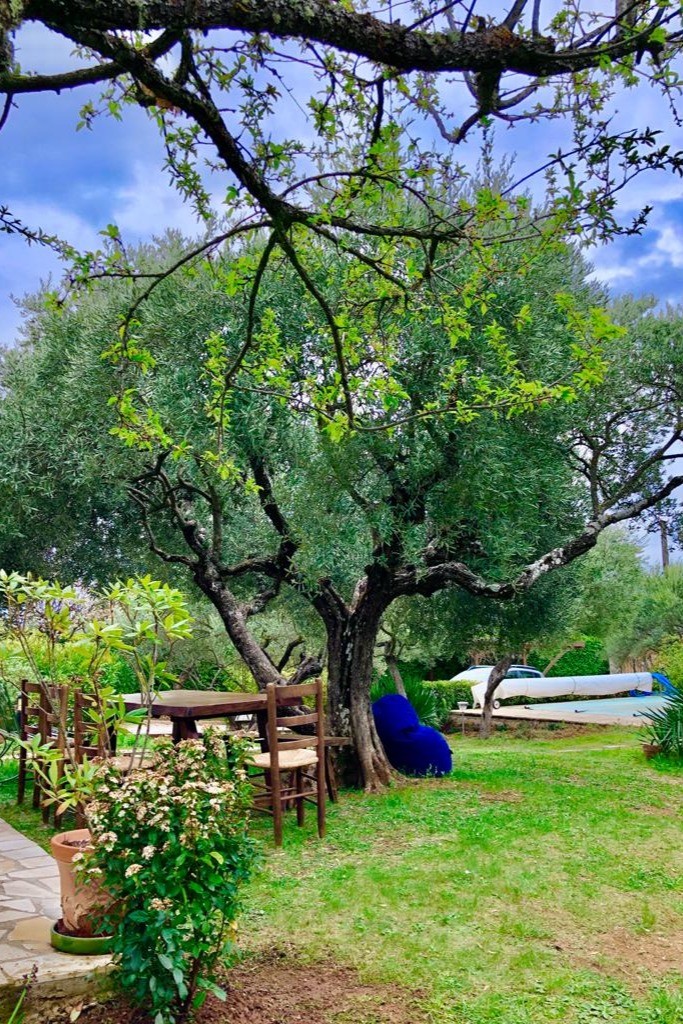 Jardin