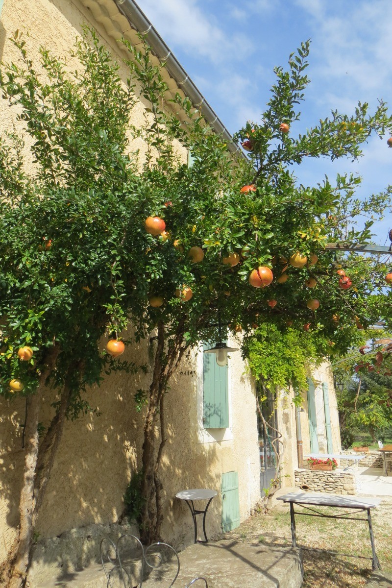 Photo n° 11 of the location