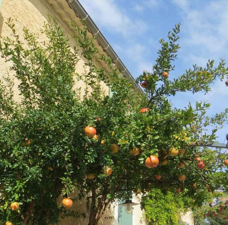 Photo n° 11 de la location