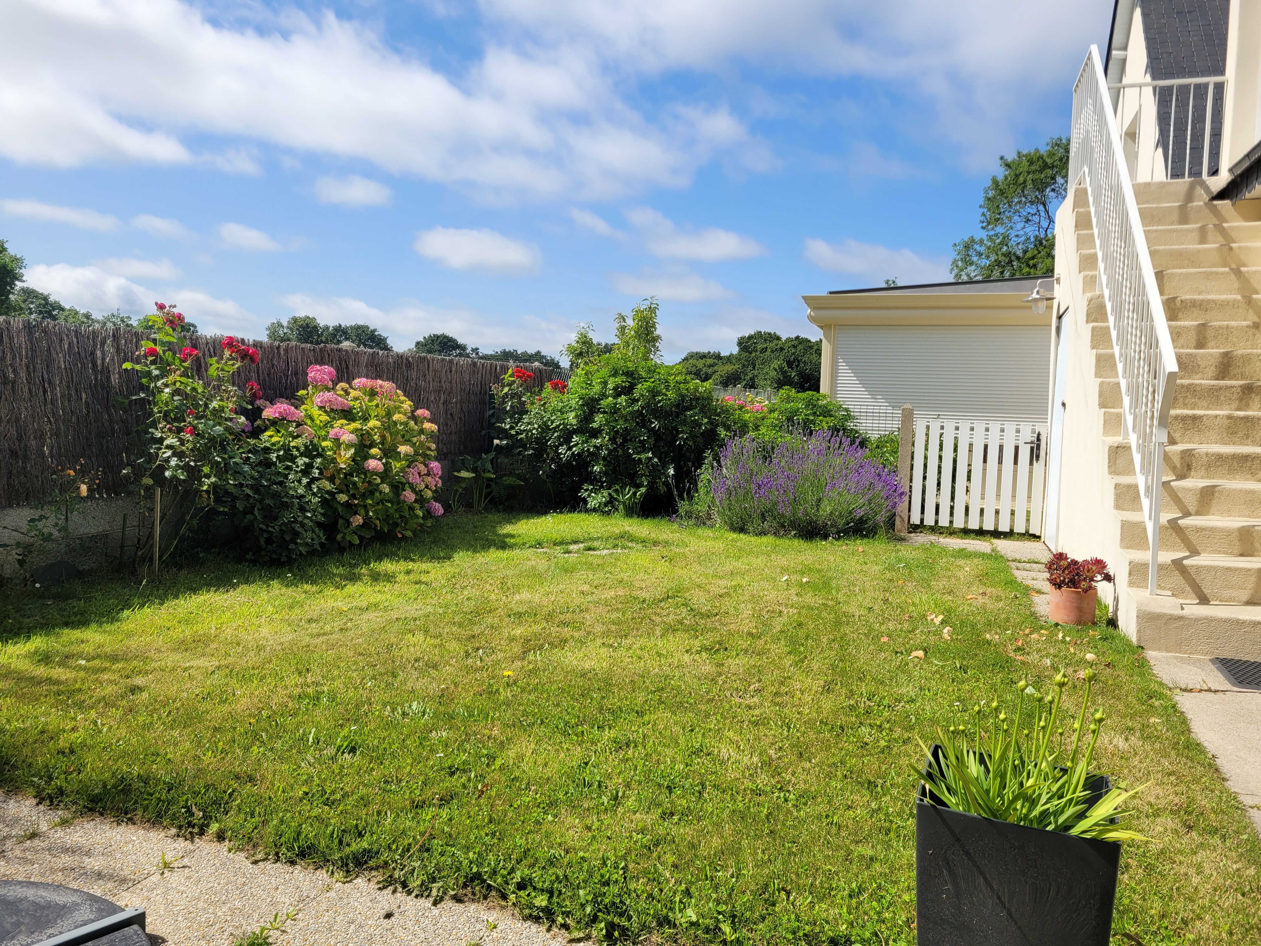 Location de vacances Paimpol, Clévacances, vue extérieure avec jardinet