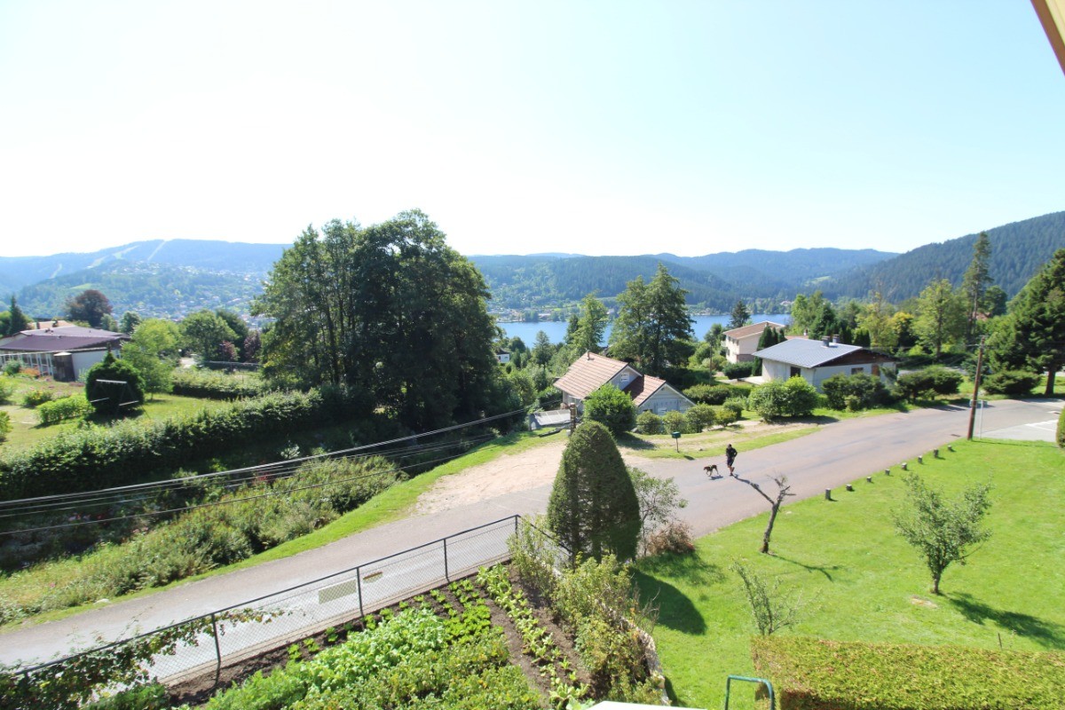 Vue sur le lac - Villa Amonidée - Gérardmer