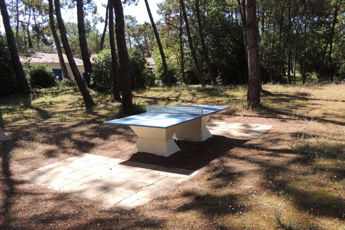 Aire de ping-pong