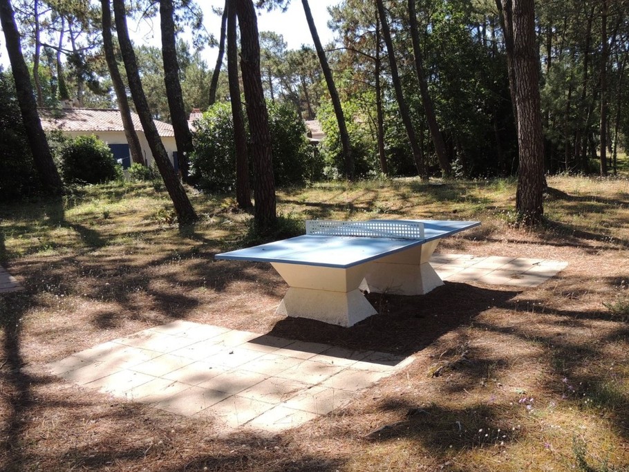 Aire de ping-pong