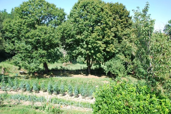 Photo n° 10 de la location