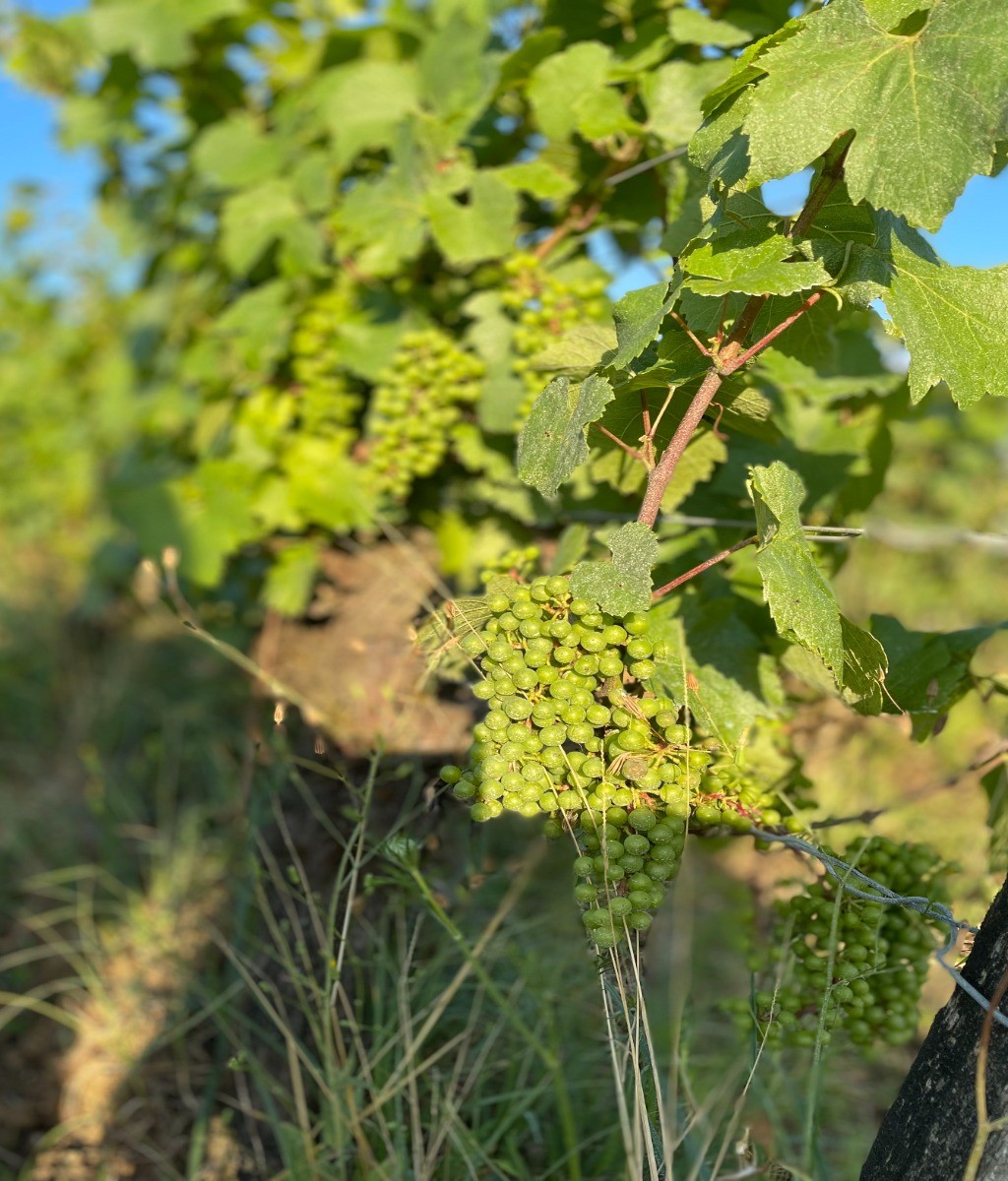 Photo n° 17 of the location