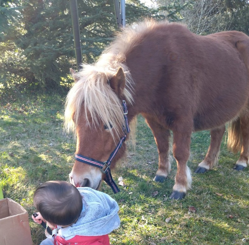 Photo n° 11 de la location