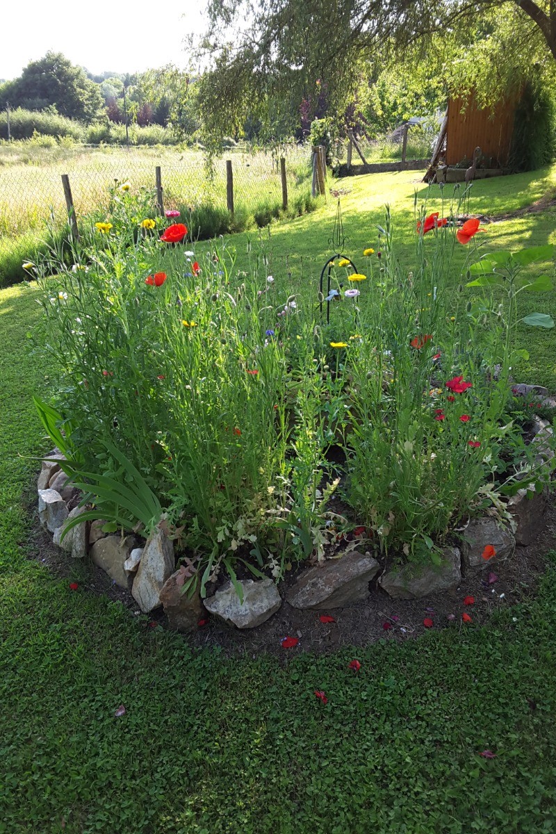 jardin