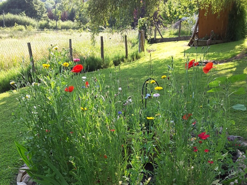 jardin